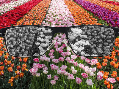 How Color-Blind Corrective Glasses Work
